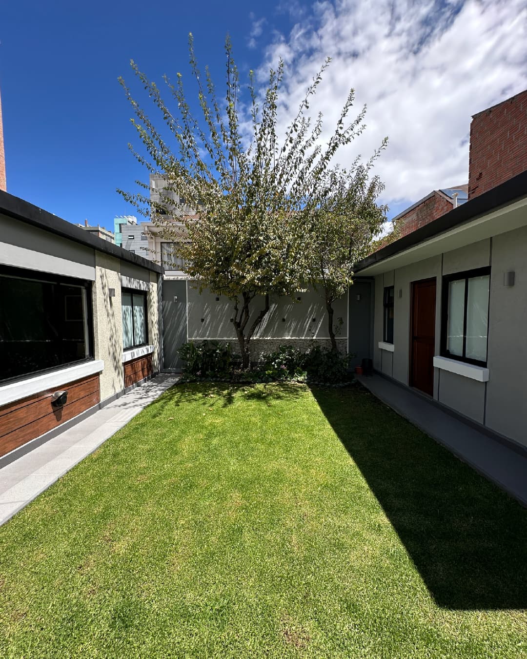 Jardín interior remodelado — césped curado, árbol conservado, volumetría nueva